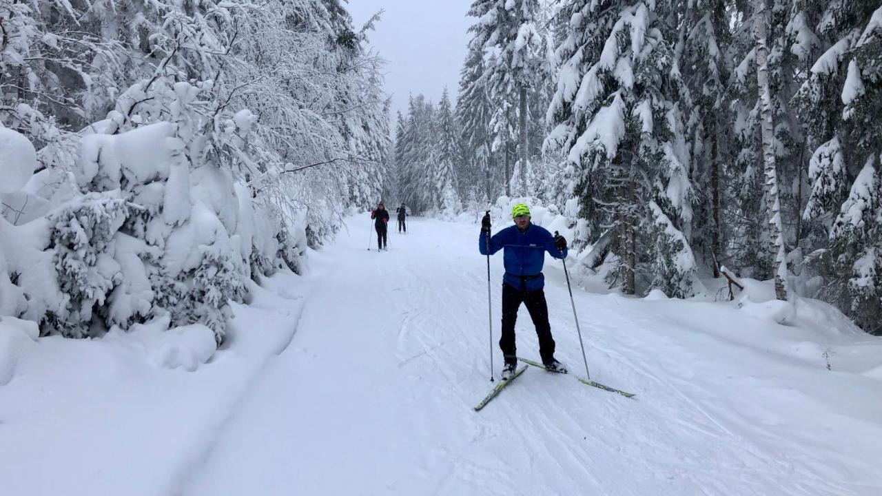 Apartmany Doky - Pla Lipno nad Vltavou Extérieur photo